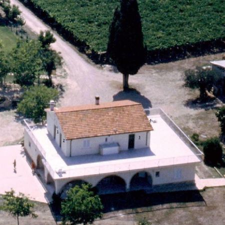 Agriturismo Torre Mannella - La Loggia Città Sant'Angelo Buitenkant foto