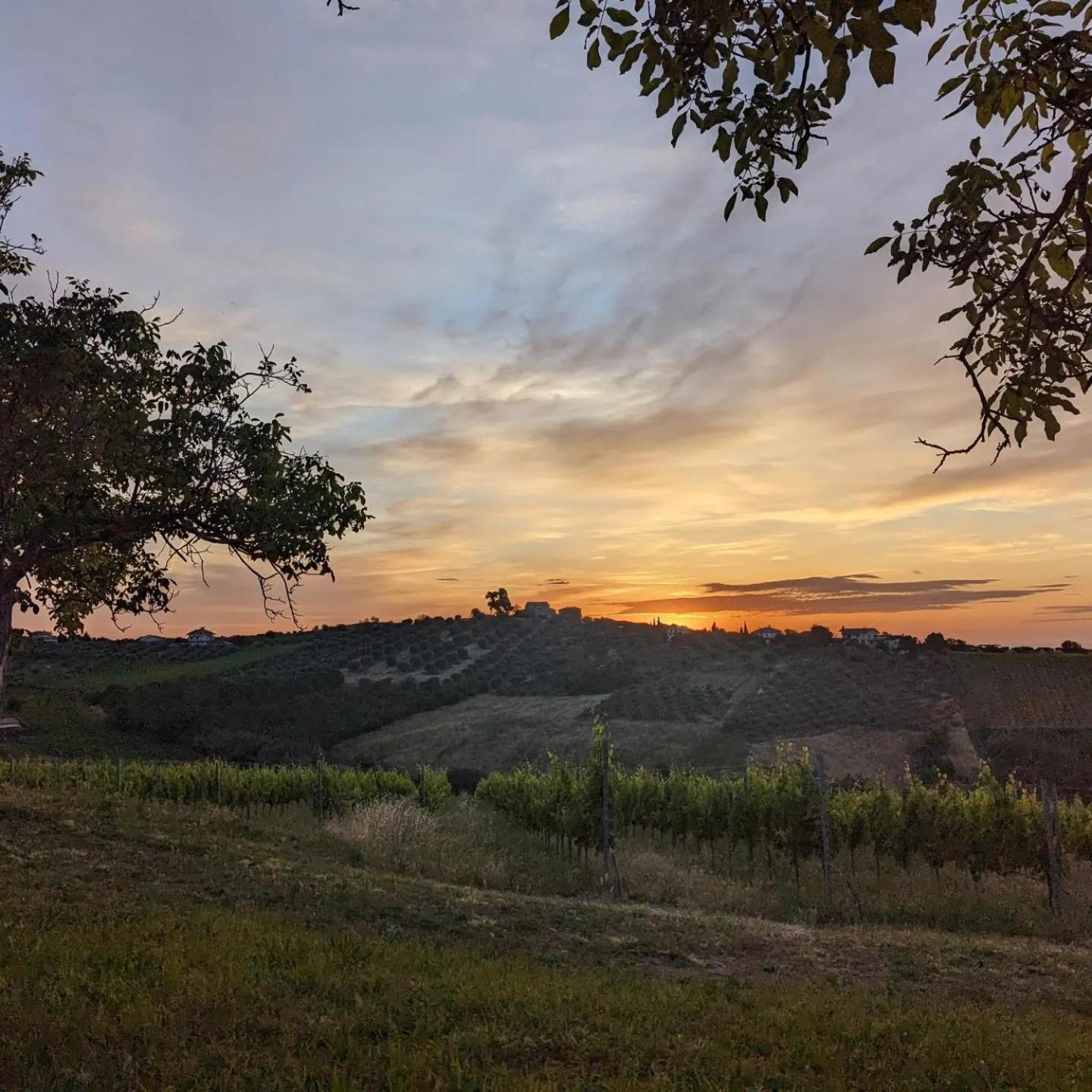 Agriturismo Torre Mannella - La Loggia Città Sant'Angelo Buitenkant foto